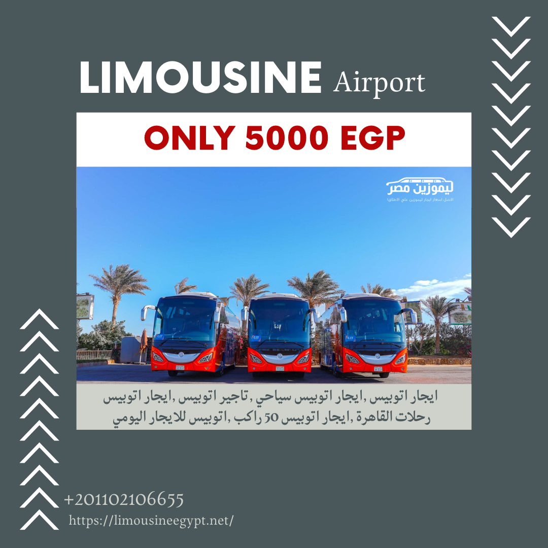 شركة ايجار اتوبيس